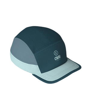 ALZCap SC - C Plus - Hamilton