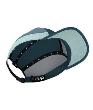 ALZCap SC - C Plus - Hamilton